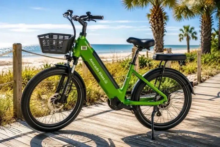 Green electric bike with basket on boardwalk by beach, palm trees in background.